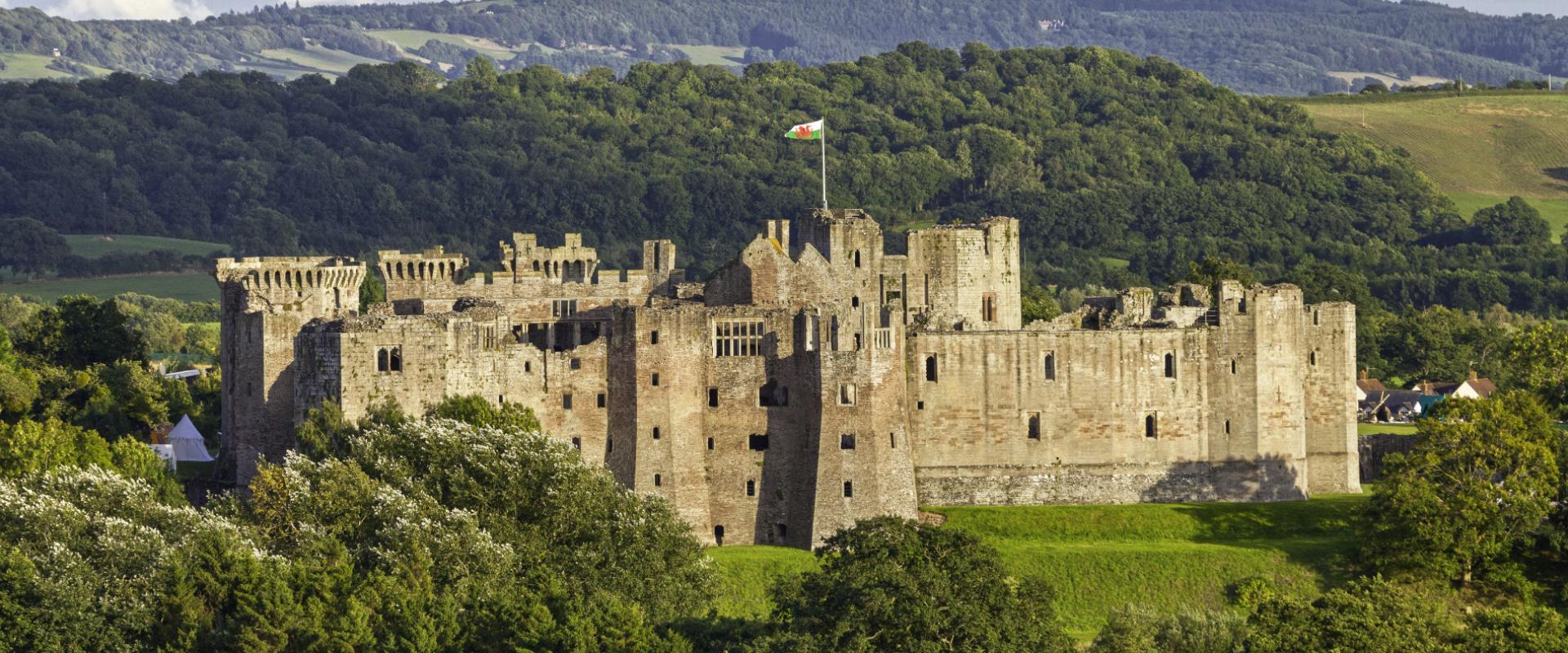Raglan Castle photo 1