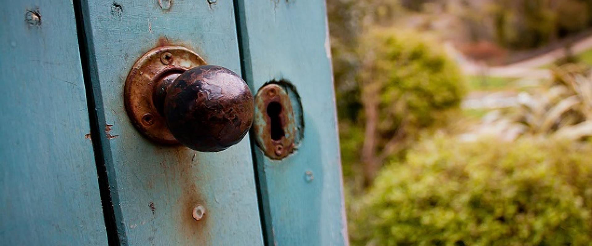 Blue door half open to a garden