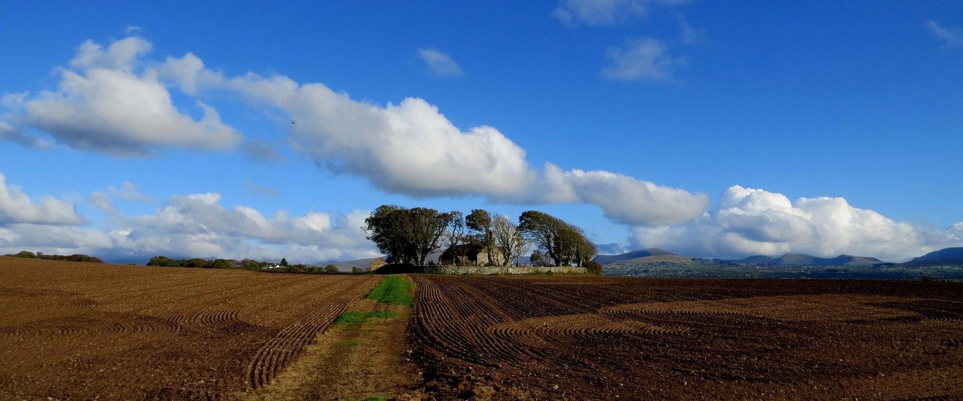 golygfa ar draws cae tuag at yr eglwys / view across a field towards the church