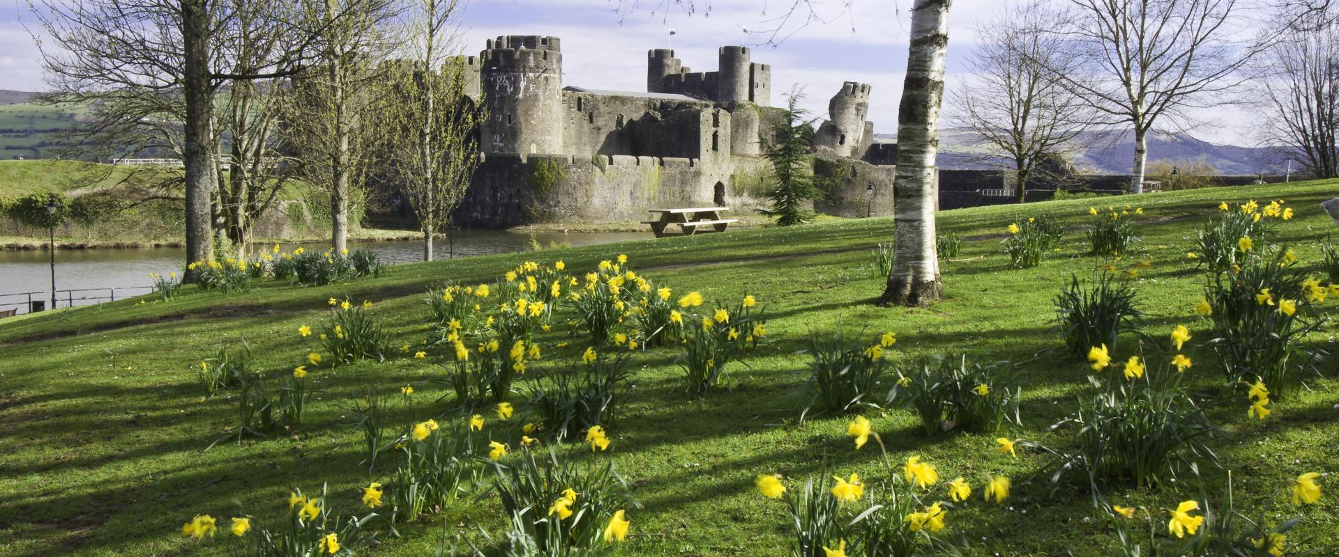 Dydd Gŵyl Dewi/St David's Day