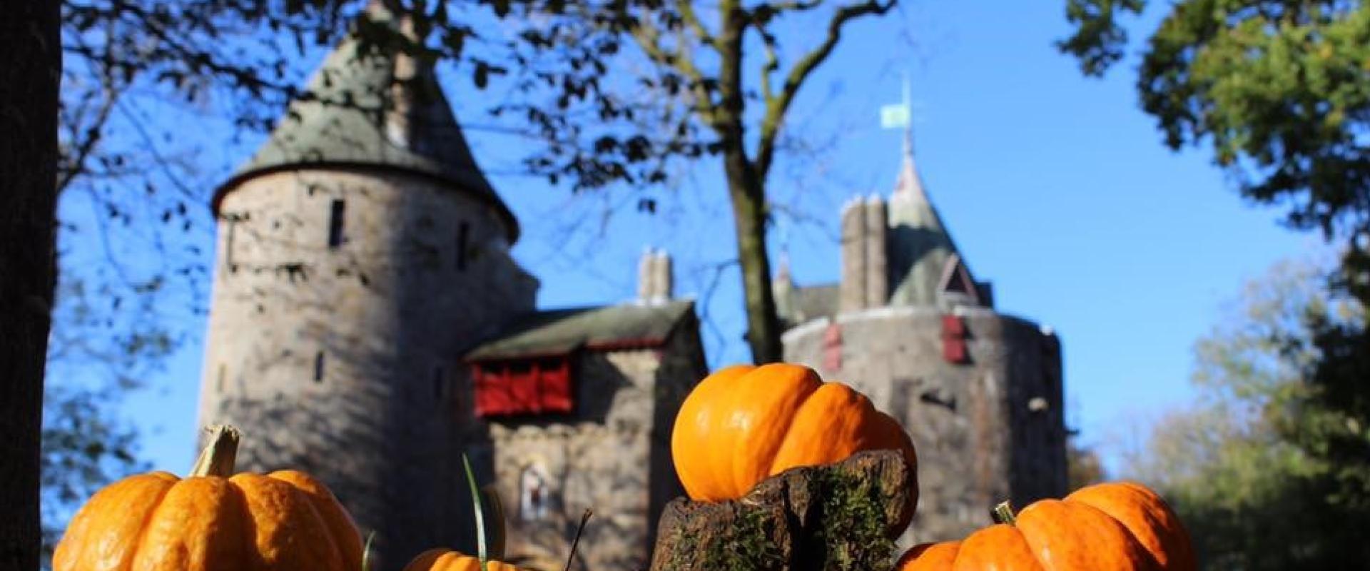 golygfa tuag at y castell, gyda phwmpenni yn y blaendir / view towards the castle, with pumpkins in the foreground