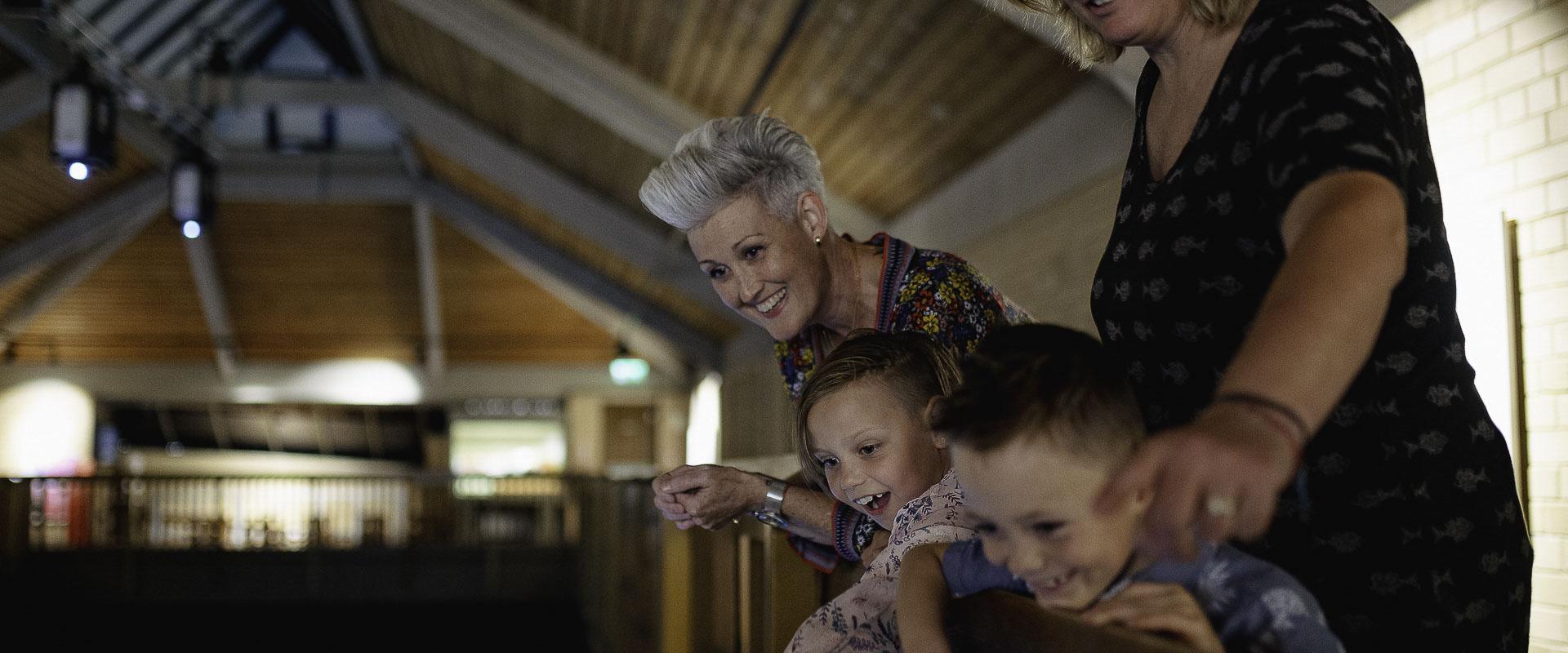 Teulu o ymwelwyr yn gwylio'r dehongliad yn y Natatio (pwll nofio)/A family of visitors watching the interpretation in the Natatio (swimming pool).