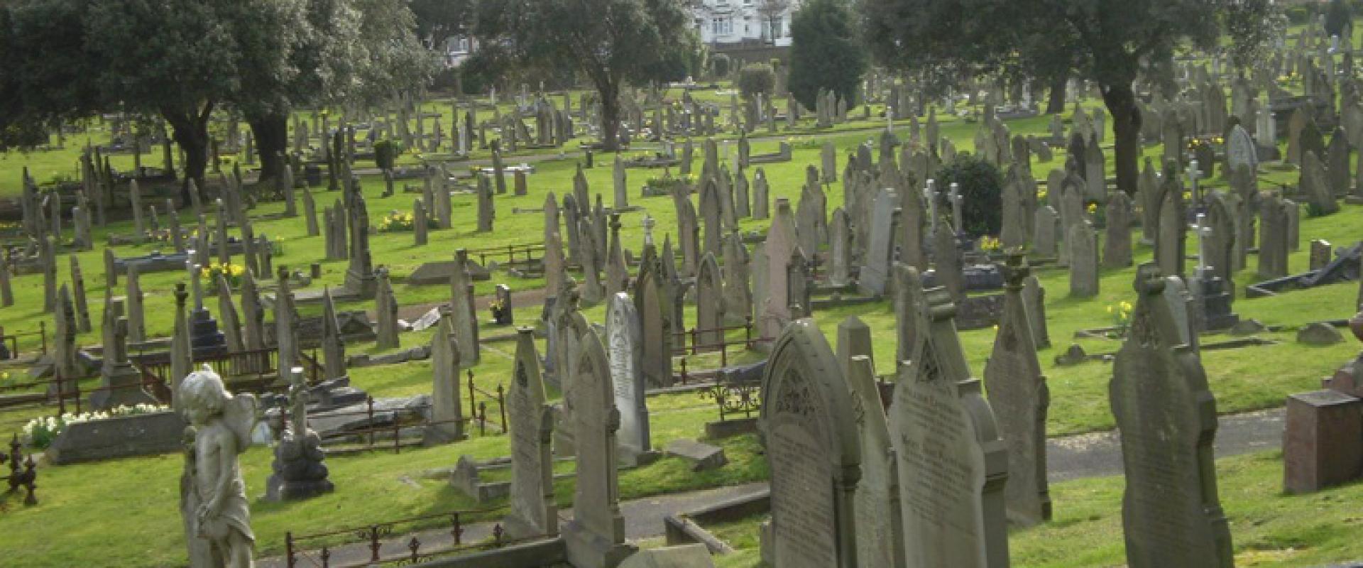 golygfa ar draws y beddau / view across the graves