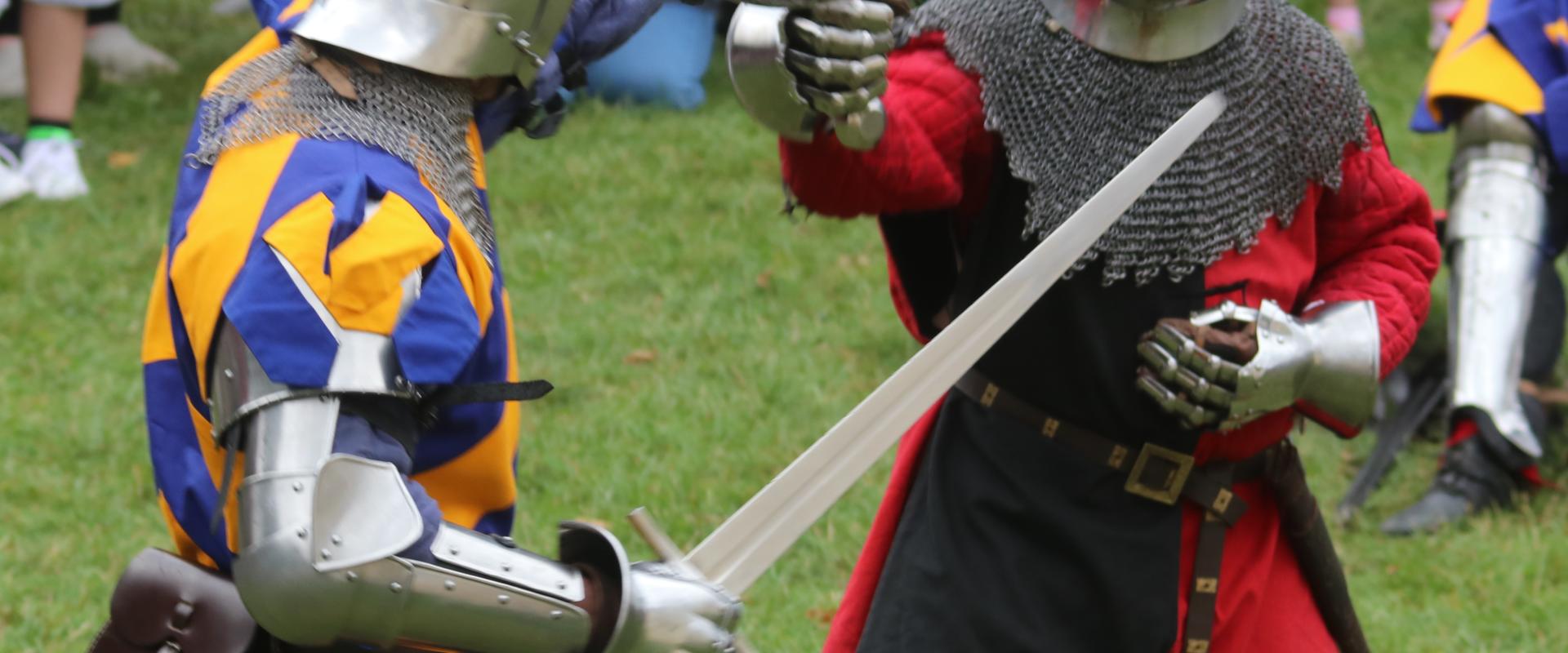 Medieval Knights in combat