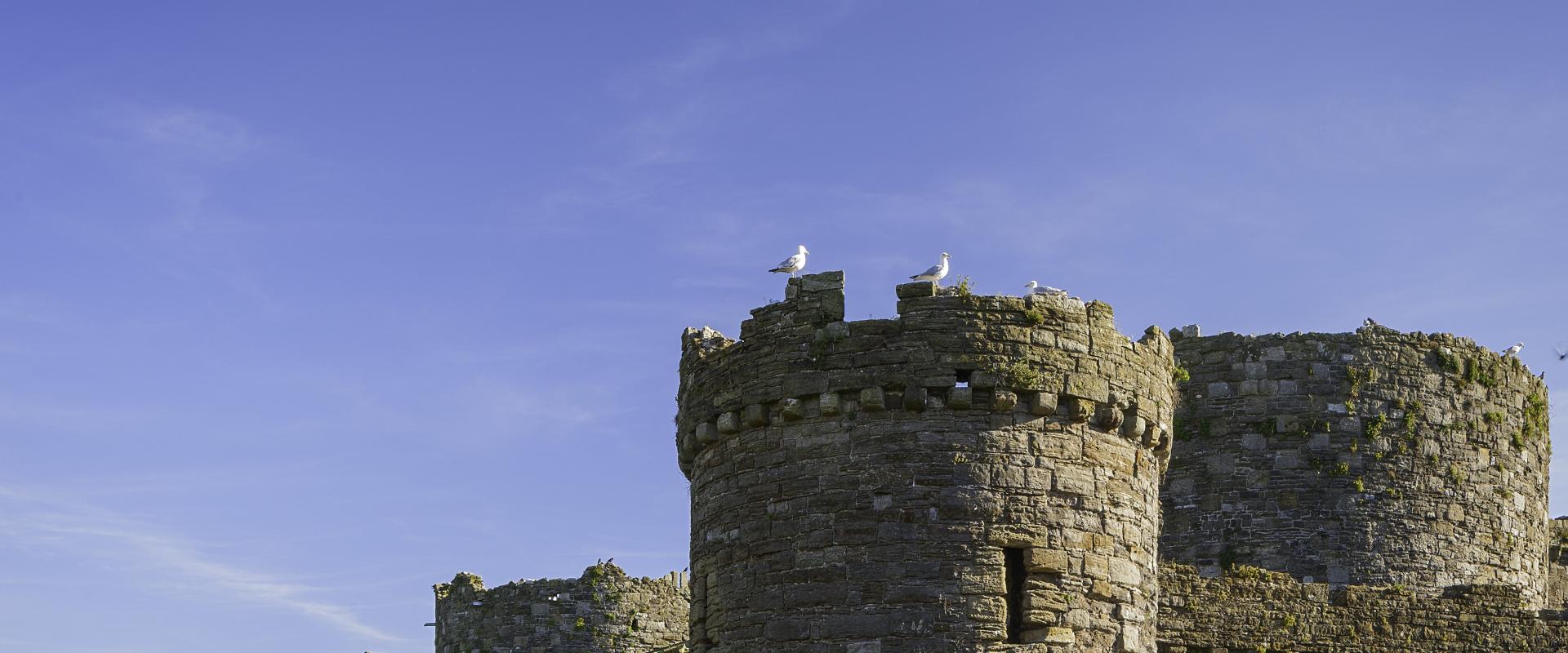 Beaumaris Castle moat