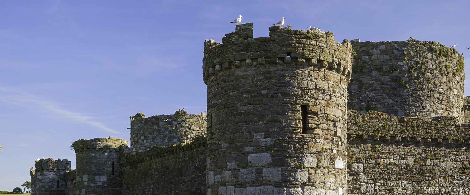 Beaumaris Castle moat