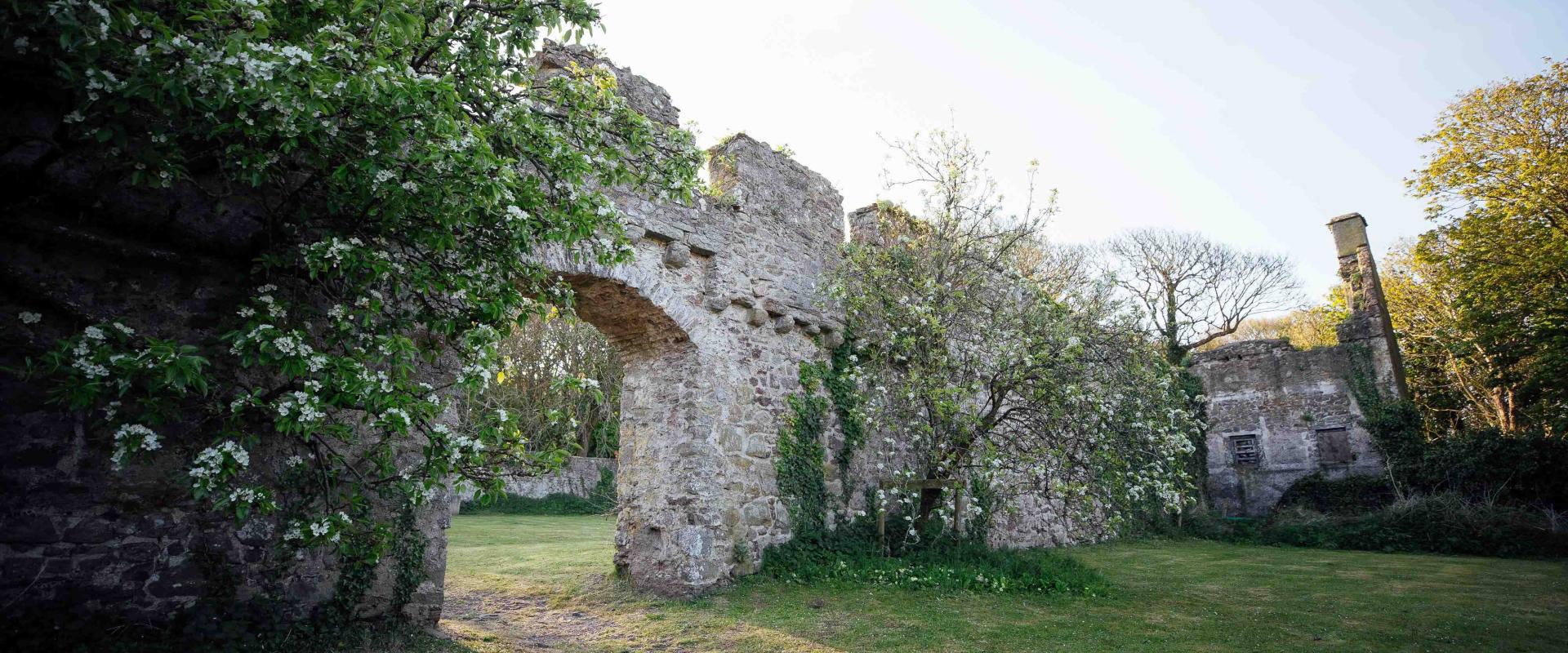 golygfa drwy'r wal i mewn i'r ardd / view through the wall into the garden
