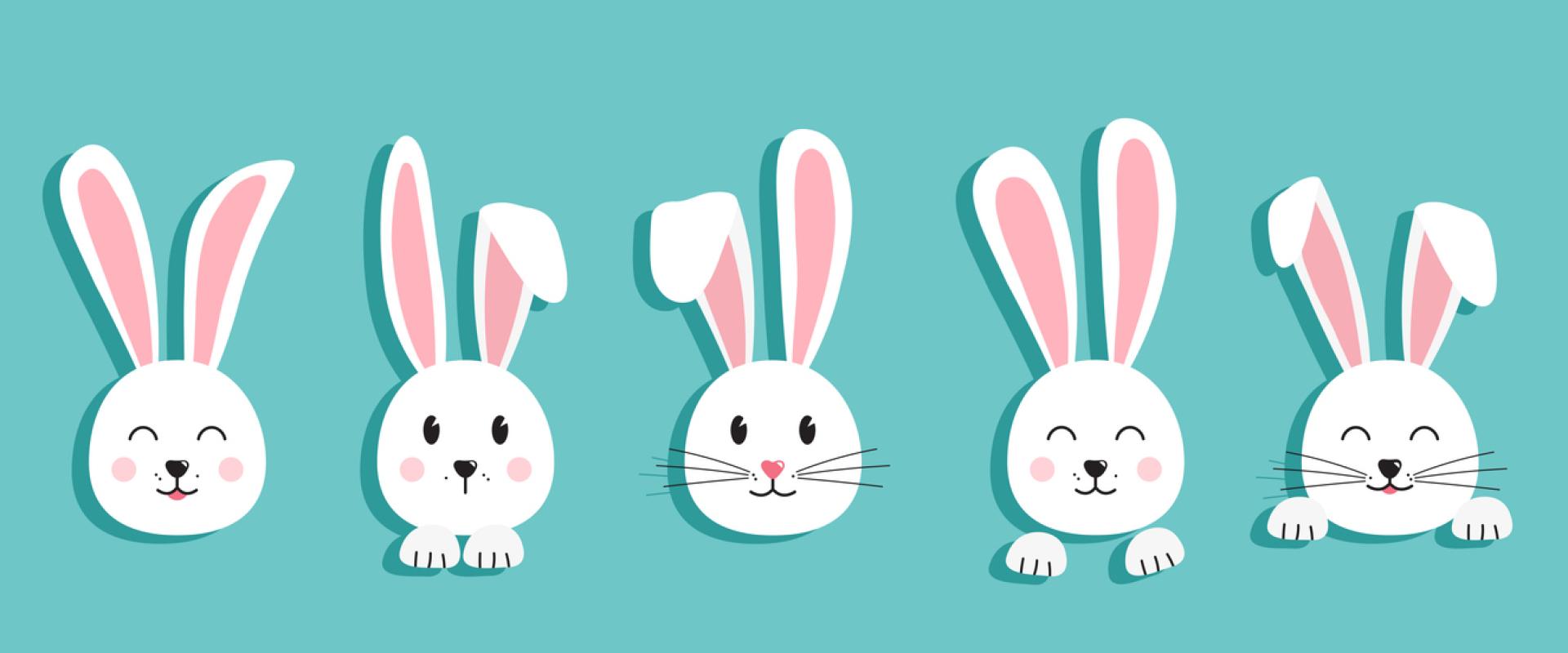 cwningod, cartŵn / bunnies, cartoon