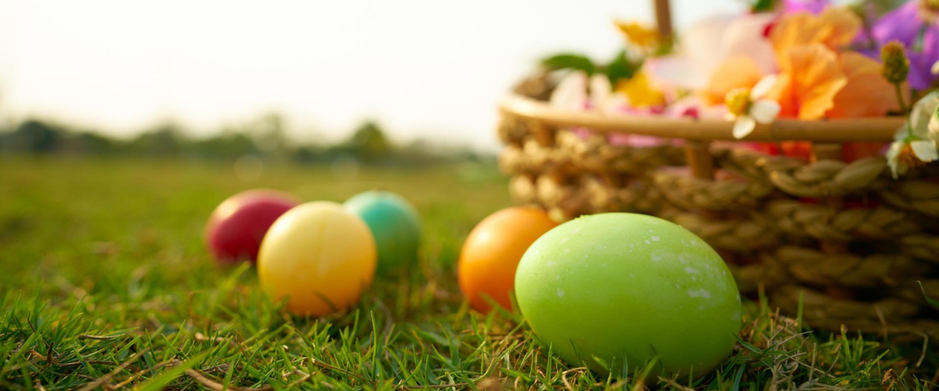 wyau wedi'u peintio o flaen basged / painted eggs in front of basket