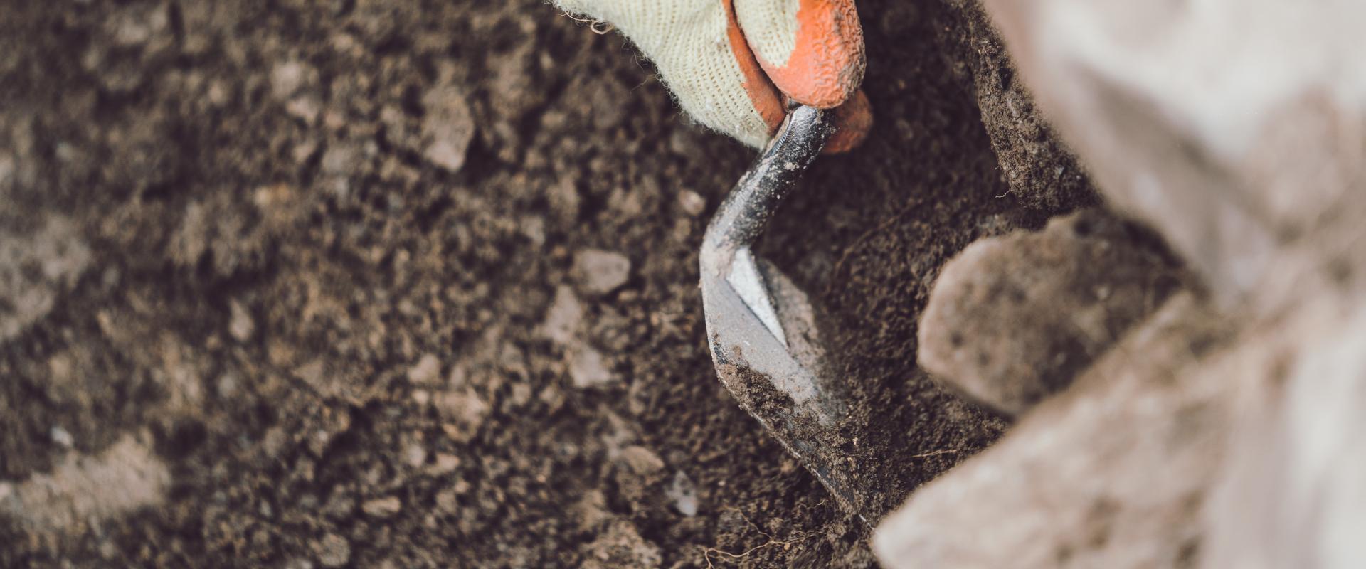 Strata Florida archaeology day