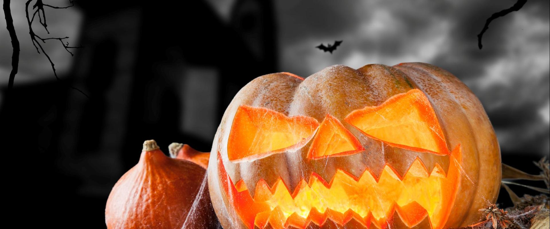 pwmpen gyda gweoedd pry cop / pumpkin with cobwebs