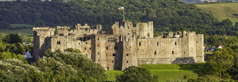 Castell Rhaglan/Raglan Castle