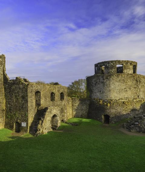 Castell Dinefwr/Dinefwr Castle