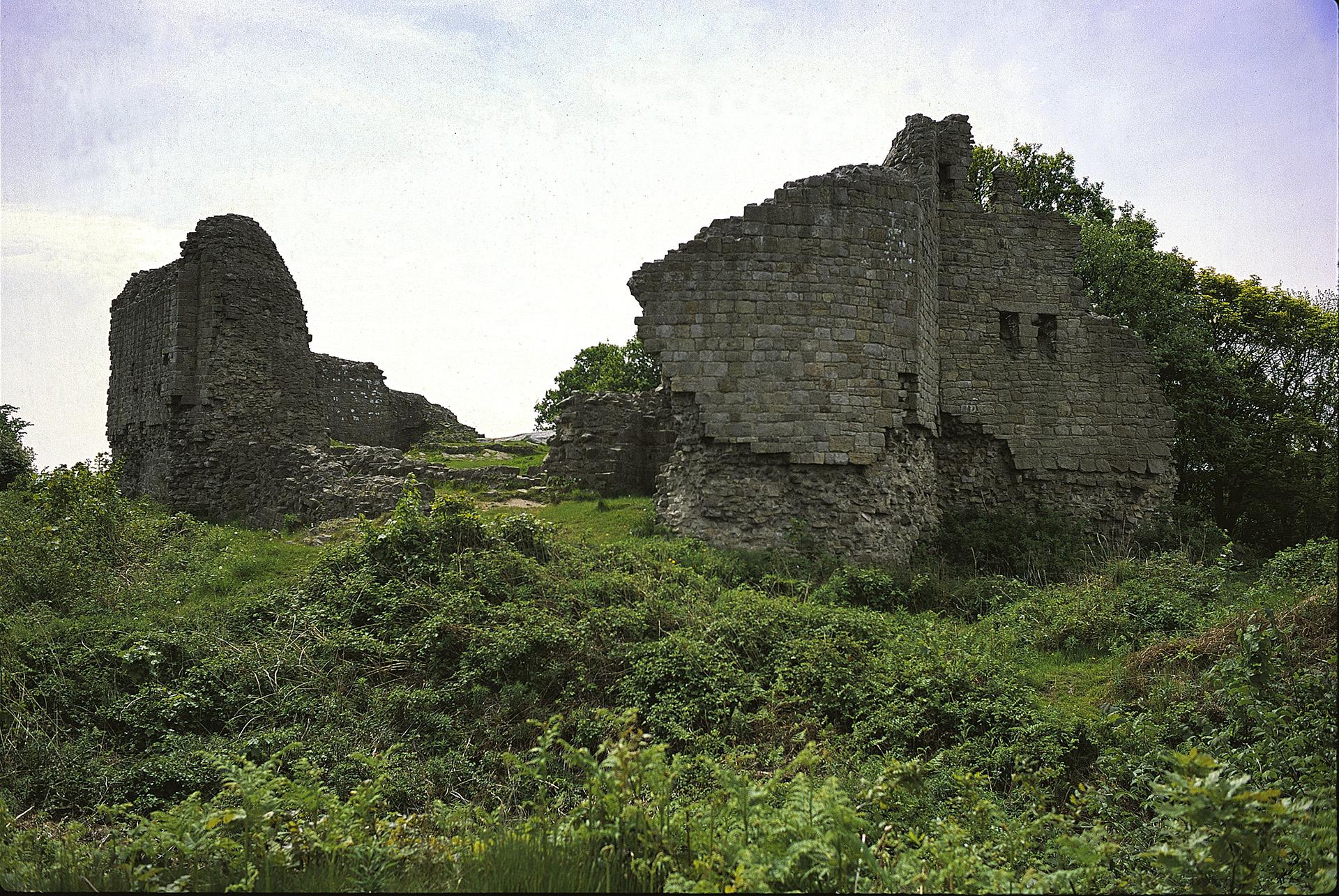 Castell Caergwrle/Caergwrle Castle