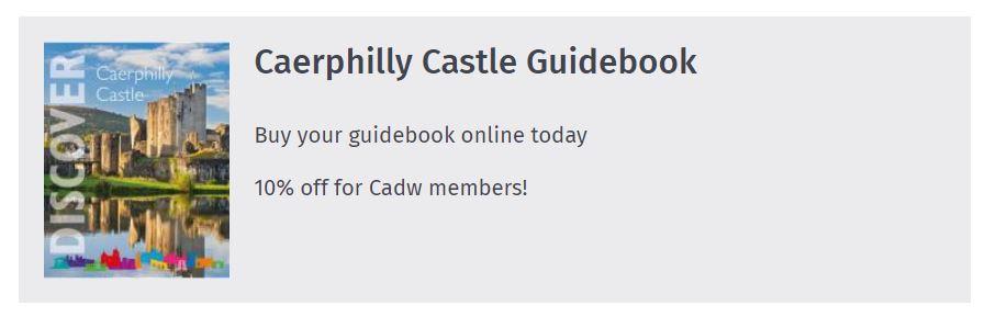 Castell Caerffili / Caerphilly Castle