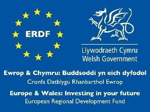 Logo ERDF / ERDF Logo