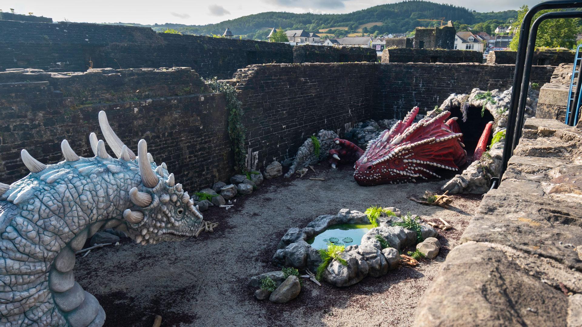  lair ddraig goch a gwyn / red & white dragon lair