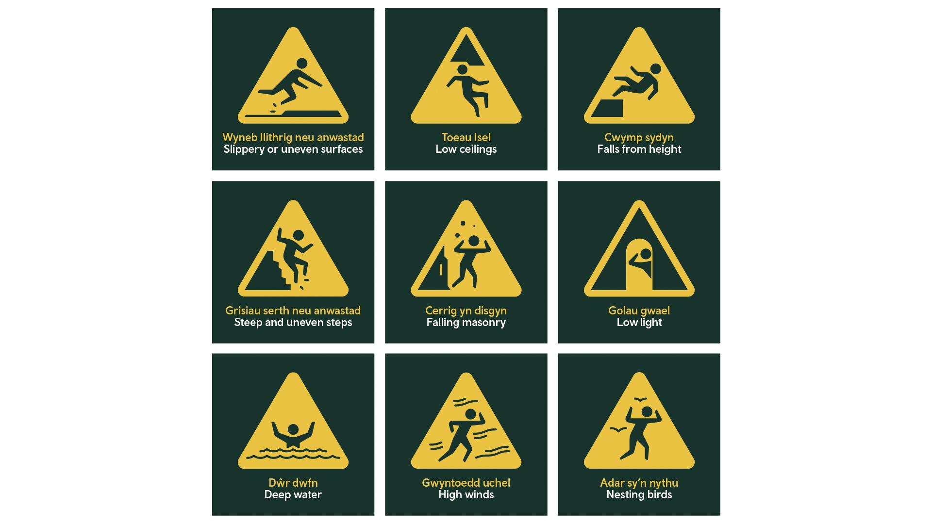 Iechyd a Diogelwch / Health & Safety icons